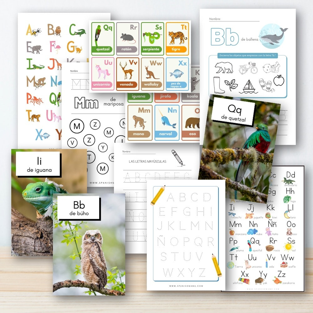 A Guide To The Alphabet In Spanish With Free Printables with regard to Free Printable Spanish Alphabet Flashcards