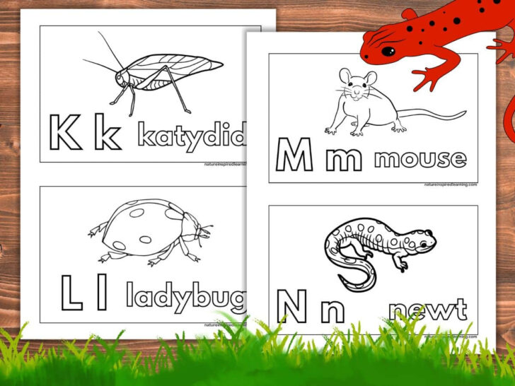 Animal Alphabet Printable Worksheets