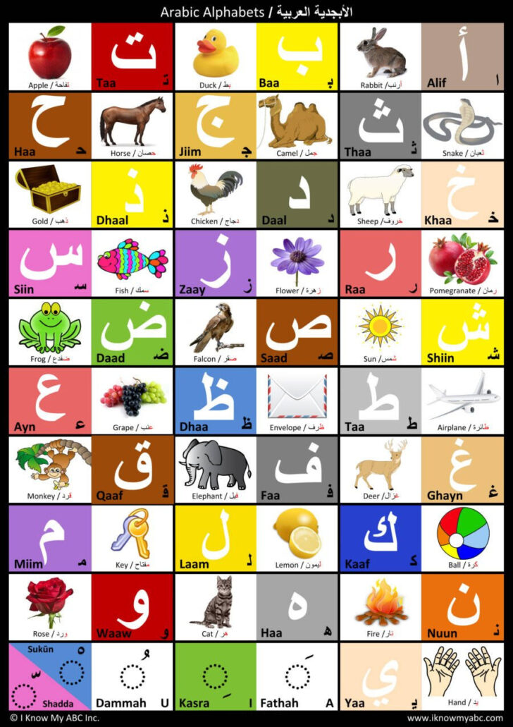 Arabic Alphabet Poster Printable