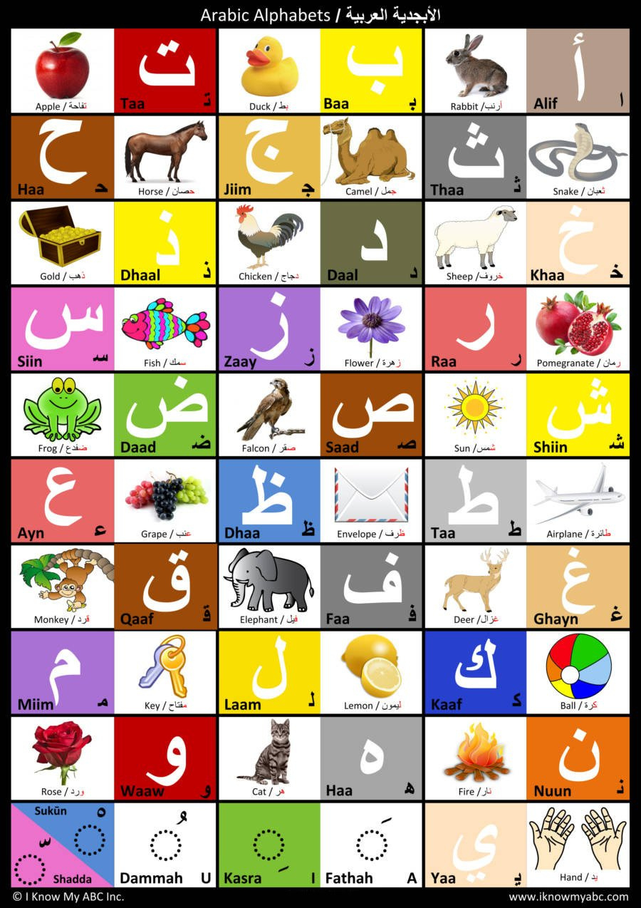 Arabic Alphabet Charti Know My Abc, 9780997139556 for Arabic Alphabet Poster Printable