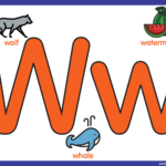 English For Kids Stepstep: Letter W Worksheets, Flash Cards Inside Big Printable Alphabet Letters W