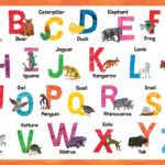 Eric Carle   Alphabet Throughout Eric Carle Alphabet Printable