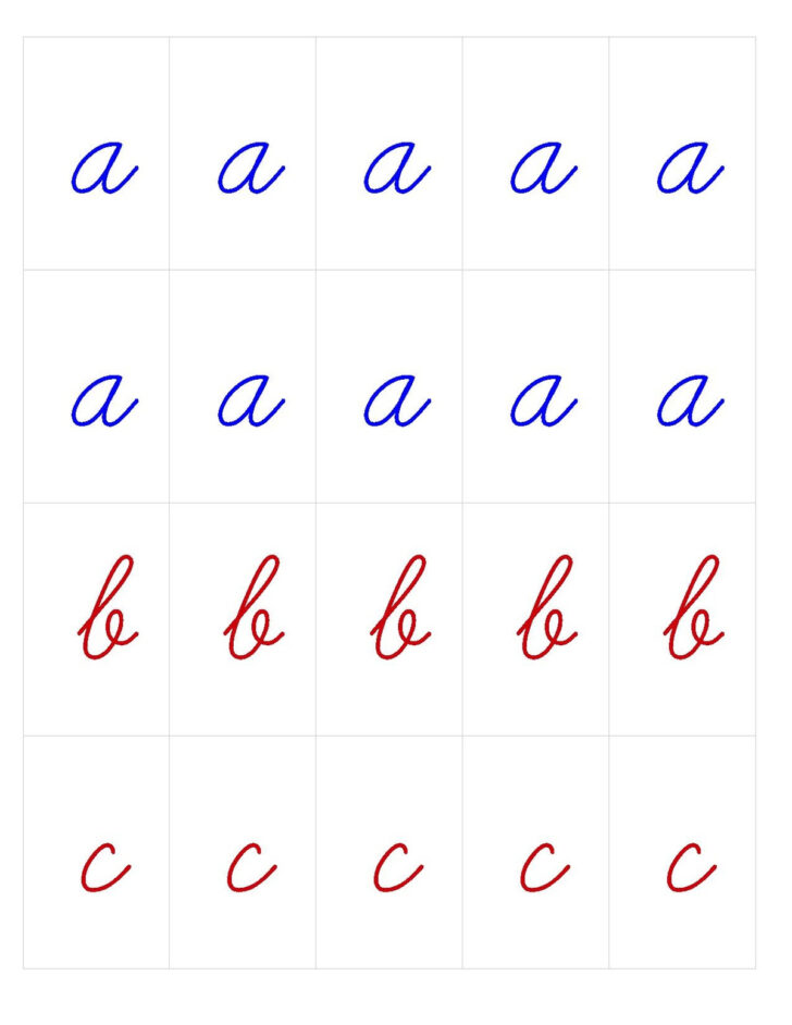 Montessori Moveable Alphabet Printable