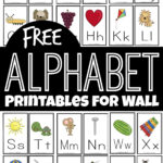 Free Alphabet Flashcards And Printables For Wall In Alphabet Line For Classroom Wall Printable