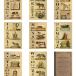 Free Vintage Abc Printables — The Art Scavenger Within Printable Vintage Alphabet Cards