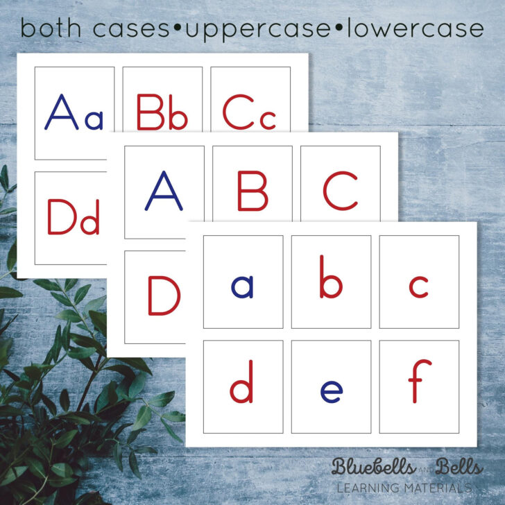 Printable Montessori Alphabet Cards