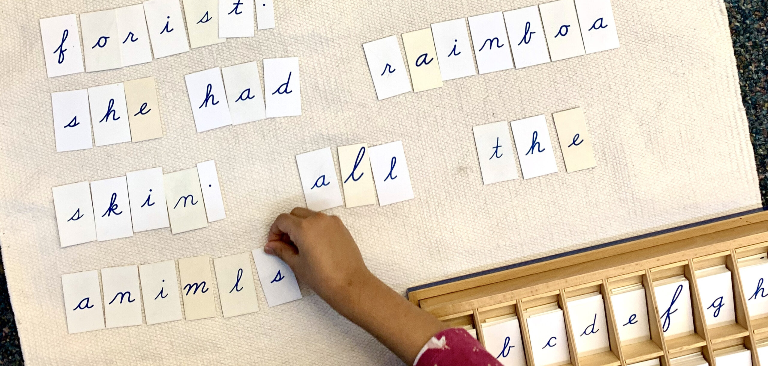 Movable Alphabet Printables | Montessori Assistant with regard to Montessori Movable Alphabet Cursive Printable