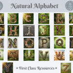 Nature Alphabet Cards Printable, Digital Download, Natural Early Intended For Printable Nature Alphabet Letters