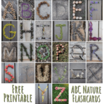 Nature Themed Free Printable Abc Flashcards   Little Mager House Intended For Free Printable Nature Alphabet Letters