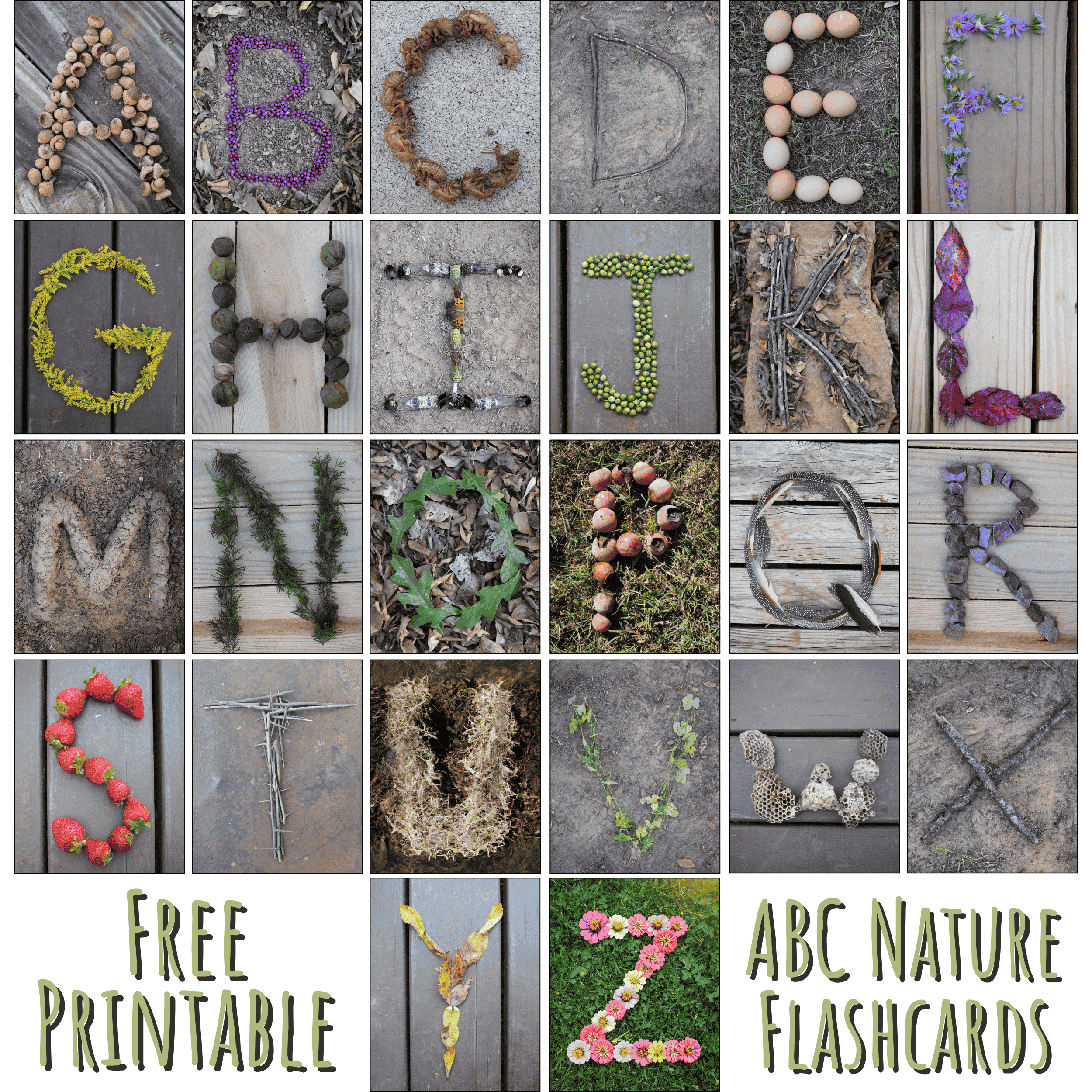 Nature-Themed Free Printable Abc Flashcards - Little Mager House intended for Free Printable Nature Alphabet Letters