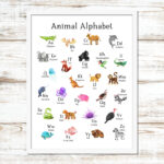 Printable Animal Alphabet Poster, Alphabet Poster, Printable With Alphabet With Animals Printable