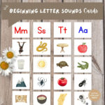 Printable Beginning Letter Sounds Cards Montessori Letters With Montessori Alphabet Flash Cards Printable