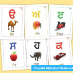 Punjabi Learner على X: "New Punjabi Alphabet Flashcards! Download For Punjabi Alphabet Flash Cards Printable