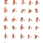 Sign Language Alphabet | 6 Free Downloads To Learn It Fast | Start Asl For ASL Alphabet Printable Free Download