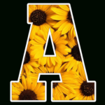 Sunflower Alphabet Letter Png Inside Printable Sunflower Alphabet Letters