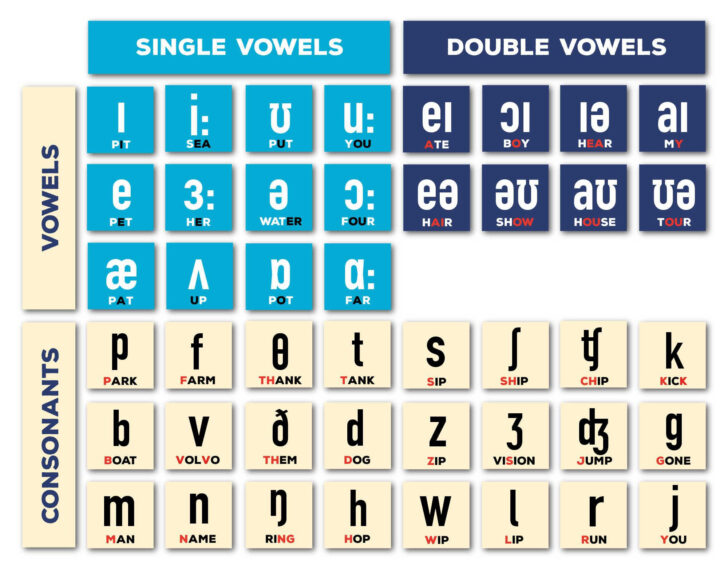 Printable International Phonetic Alphabet