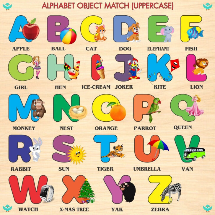 Alphabet Letters With Pictures