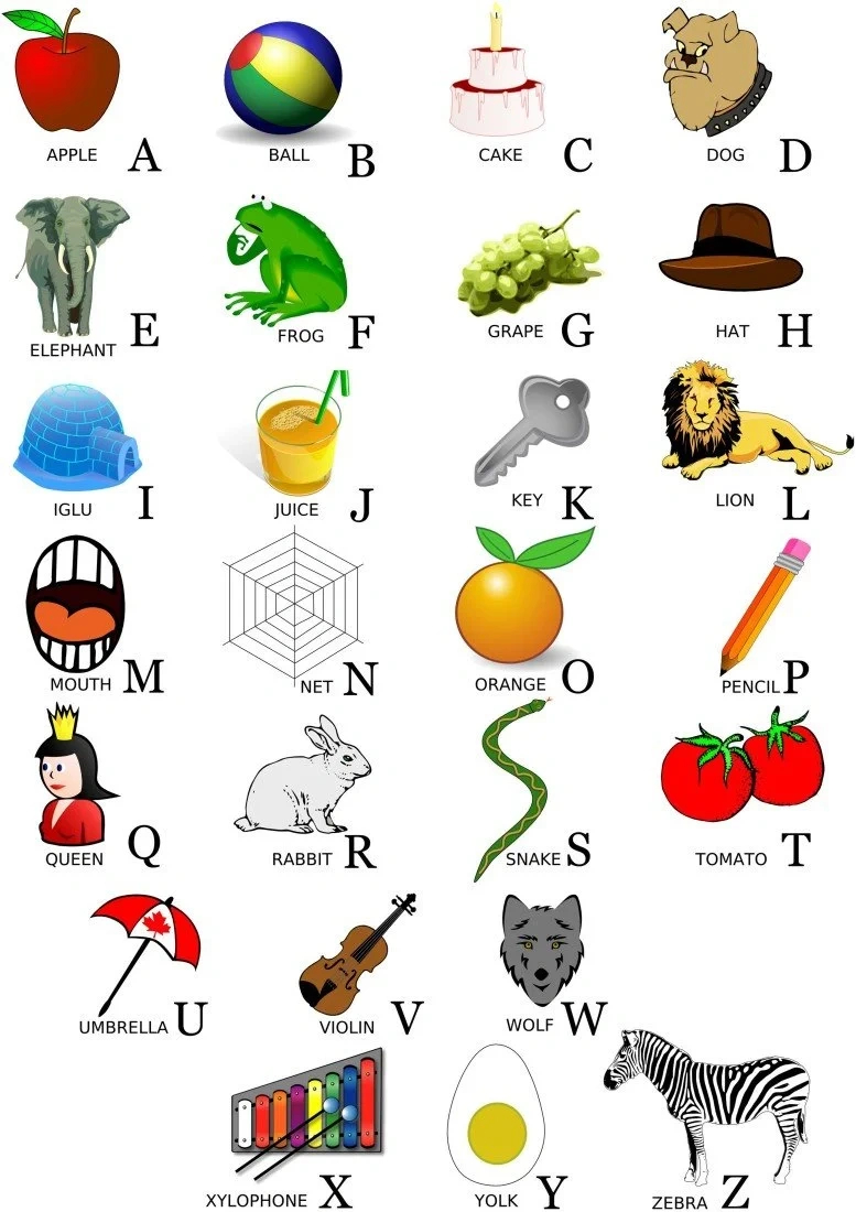 Alphabets Chart With Examples throughout Alphabet With Pictures