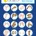 American Sign Language (Asl)   Bright & Early Throughout Basic Asl Signs