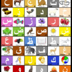 Arabic Alphabet Charti Know My Abc, 9780997139556 With Regard To Arabic Alphabet Chart Print