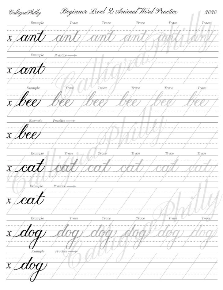Calligraphy Practice Sheets