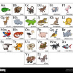 Cartoon Animal Alphabet Learning Chart With Cartoon Animal For In Alphabet Pictures For Each Letter