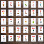Ein Komplettes Set Von 42 Tier Phonics Klängen Einschließlich In Jolly Phonics Chart