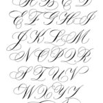 Flourished Calligraphy Alphabet A To Z Inside Calligraphy Alphabet A To Z