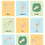 Glove Developeducla Researchers Translates American Sign For American Sign Language