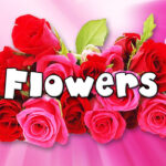 Learn Names Of Flowers | Flower Names In Animation Video | Learning For Kids Throughout Flowers From A Z For Kids