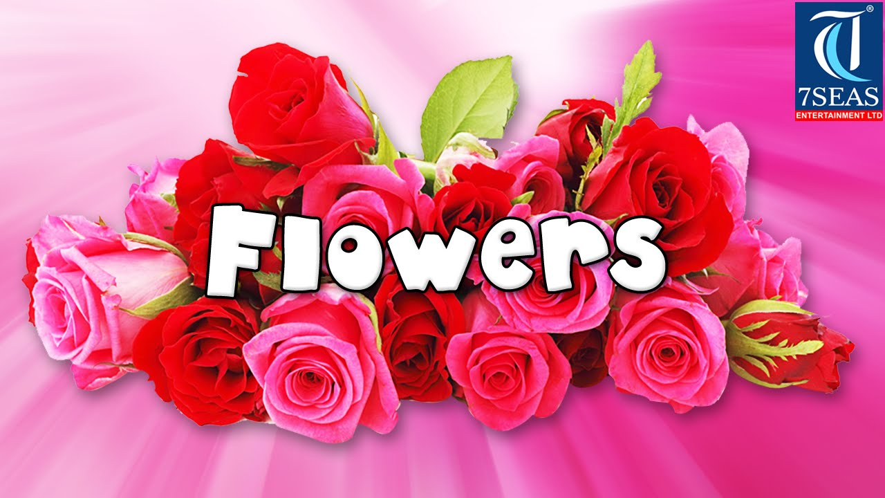 Learn Names Of Flowers | Flower Names In Animation Video | Learning For Kids throughout Flowers From A-Z For Kids