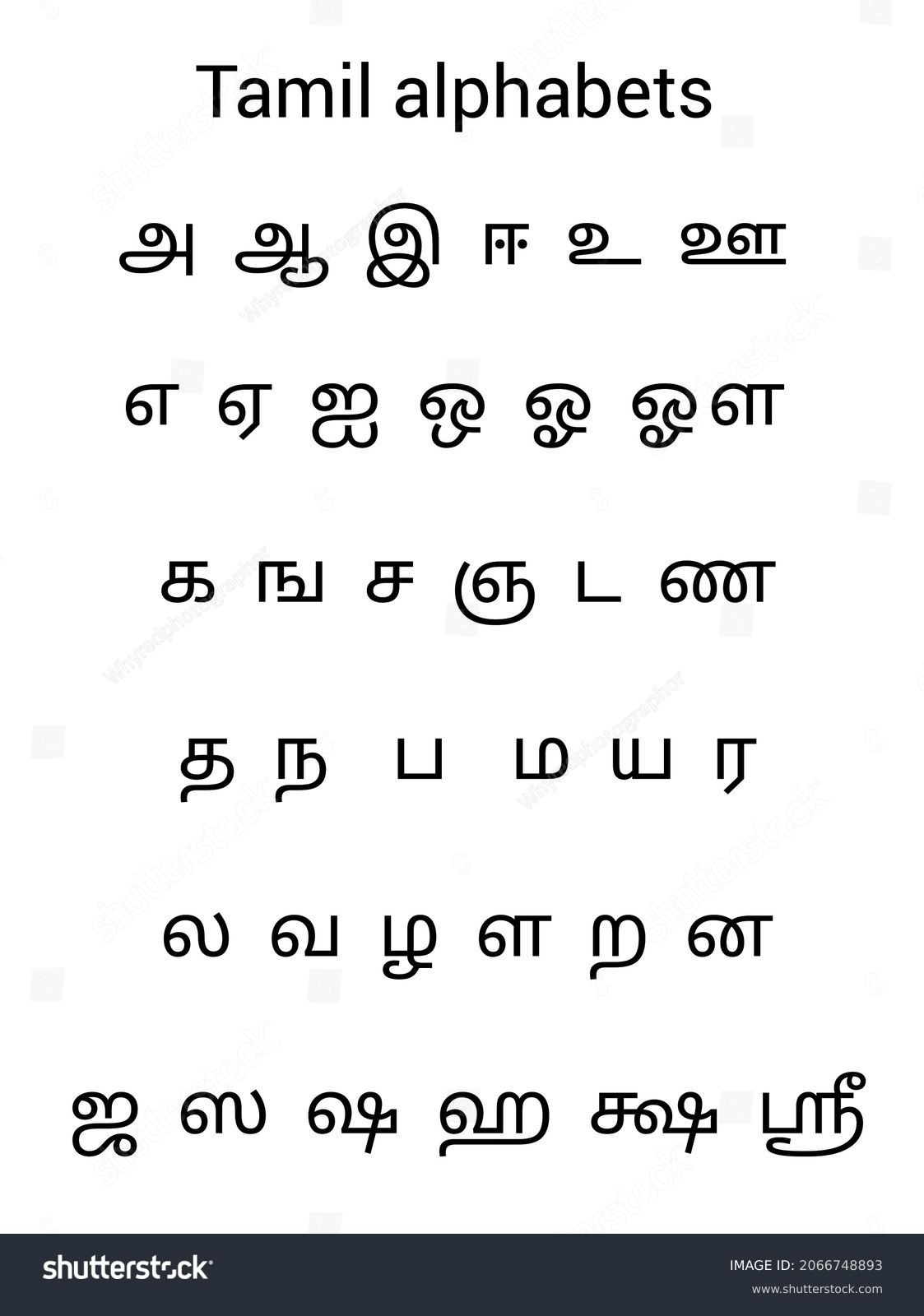 Translationtamil Alphabets Vowels Consonantseasy Learn Tamil Stock in Tamil Alphabet Chart Printable
