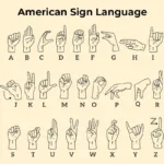 What Is Fingerspelling? Bsl Meaning, Rules & How To Use It Throughout Finger Spelling